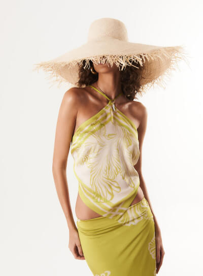 Palm tree top